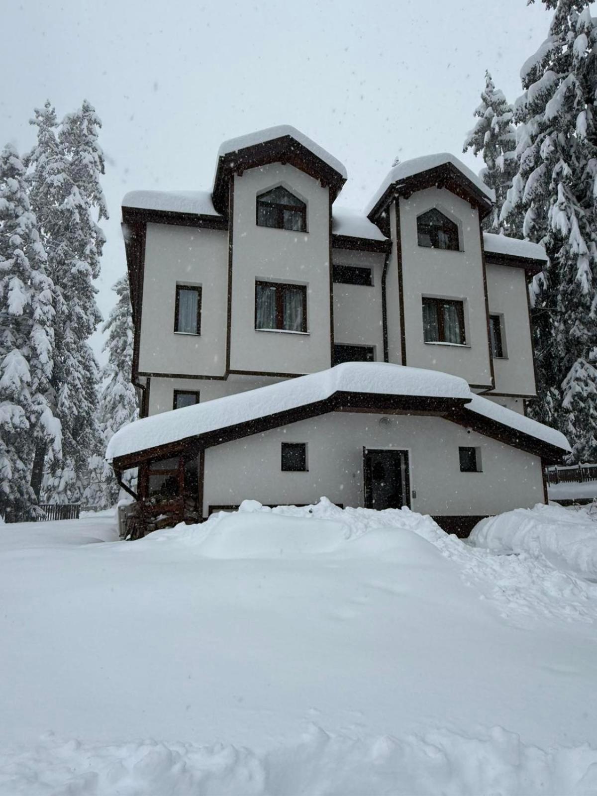 Villa Rila With Jacuzzi & Sauna By Bookvillabg *