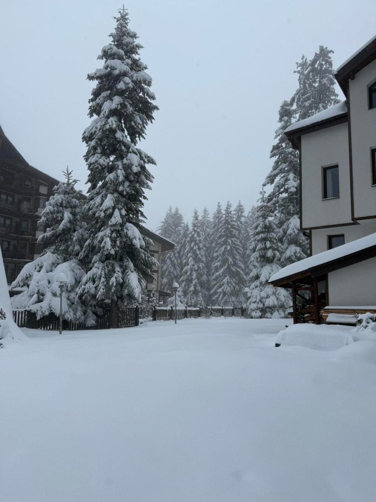 Rila With Jacuzzi & Sauna By Bookvillabg *